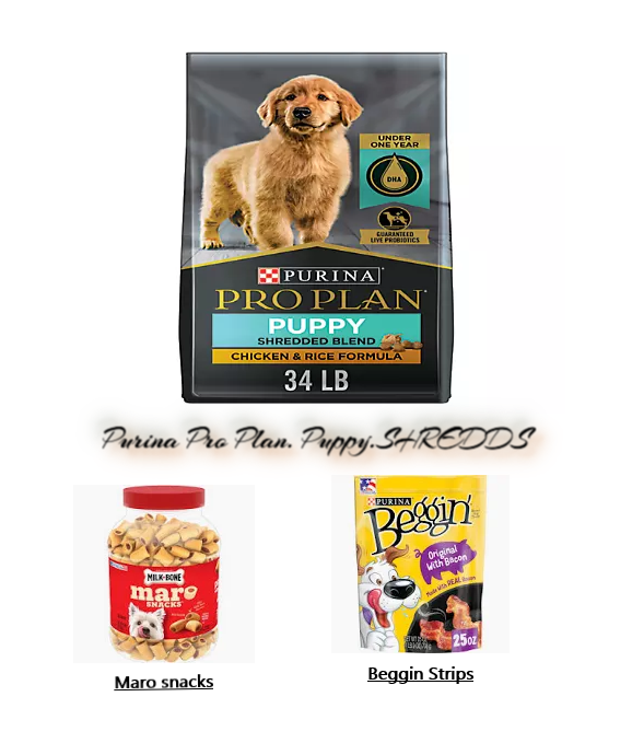 Shredded.Maro.Beggin